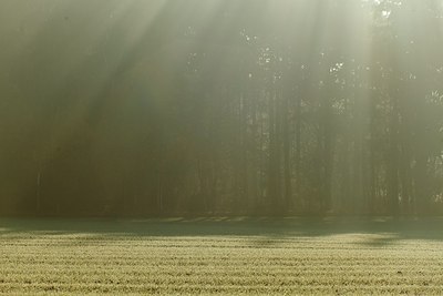 BUITEN BEELD Foto: 145524