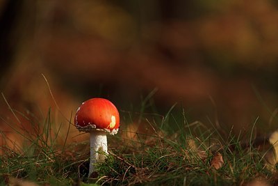 BUITEN BEELD Foto: 145534