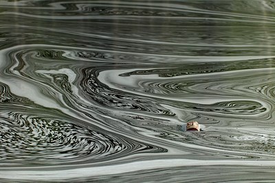 BUITEN BEELD Foto: 145574