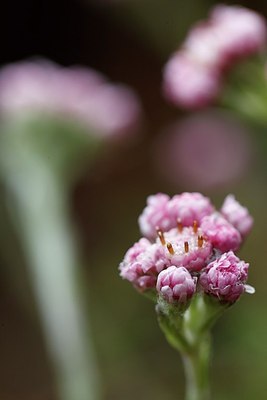 BUITEN BEELD Foto: 145595