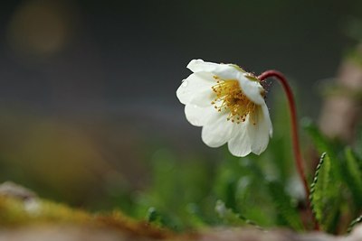 BUITEN BEELD Foto: 145598