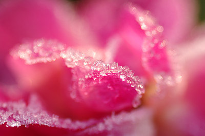 BUITEN BEELD Foto: 145632