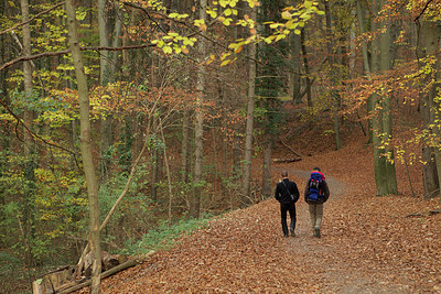 BUITEN BEELD Foto: 145664