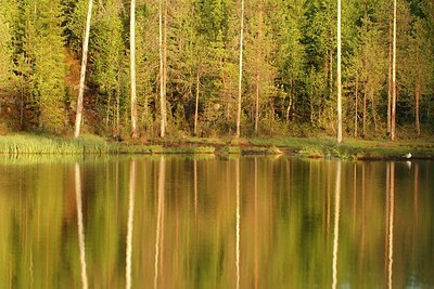 BUITEN BEELD Foto: 145665