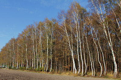 BUITEN BEELD Foto: 145731