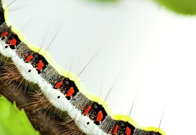 BUITEN BEELD Foto: 145745