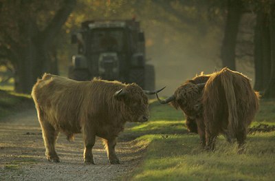 BUITEN BEELD Foto: 145848