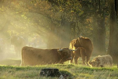 BUITEN BEELD Foto: 145857