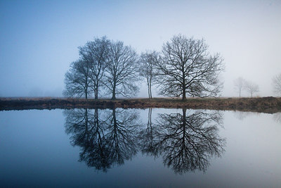 BUITEN BEELD Foto: 145906