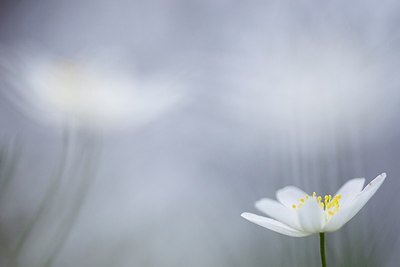 BUITEN BEELD Foto: 145915