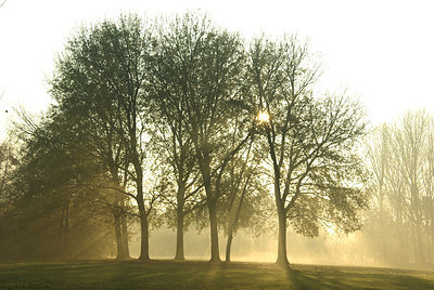 BUITEN BEELD Foto: 145922