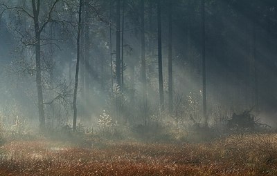 BUITEN BEELD Foto: 145923