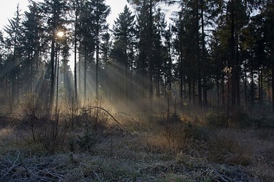 BUITEN BEELD Foto: 145925