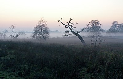 BUITEN BEELD Foto: 145927