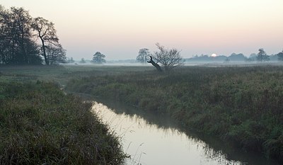 BUITEN BEELD Foto: 145929