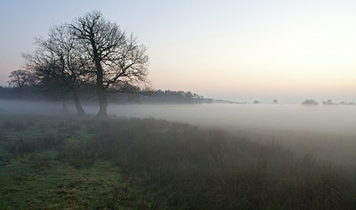 BUITEN BEELD Foto: 145931