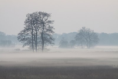 BUITEN BEELD Foto: 145934