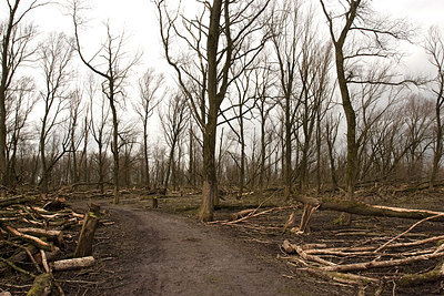 BUITEN BEELD Foto: 145972