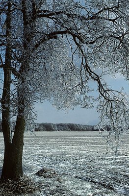 BUITEN BEELD Foto: 145979