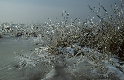 BUITEN BEELD Foto: 145988