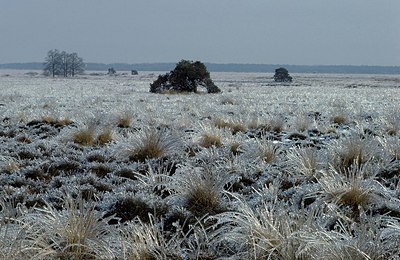 BUITEN BEELD Foto: 145989