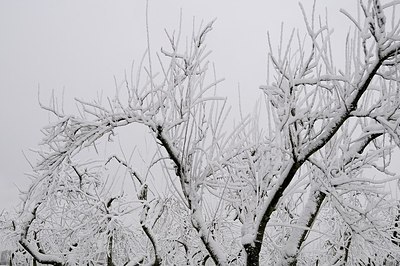 BUITEN BEELD Foto: 146003