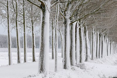 BUITEN BEELD Foto: 146005