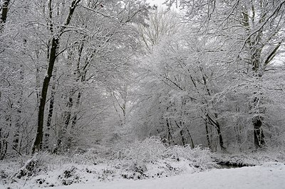 BUITEN BEELD Foto: 146017