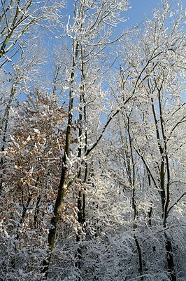 BUITEN BEELD Foto: 146035