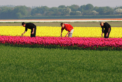 BUITEN BEELD Foto: 146053