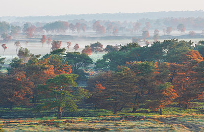 BUITEN BEELD Foto: 146063