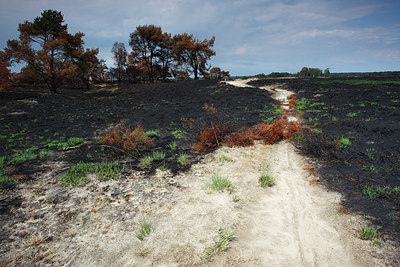 BUITEN BEELD Foto: 146066