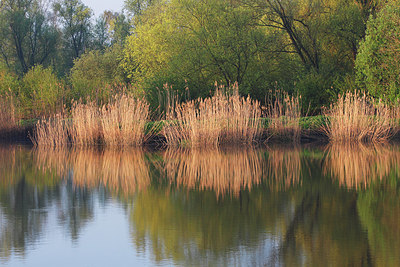 BUITEN BEELD Foto: 146086