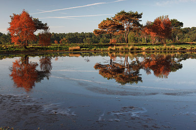 BUITEN BEELD Foto: 146088