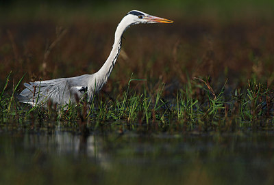 BUITEN BEELD Foto: 146090