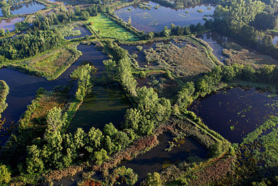 BUITEN BEELD Foto: 146099