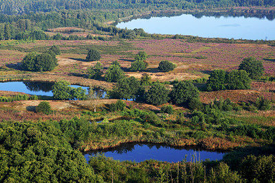 BUITEN BEELD Foto: 146101