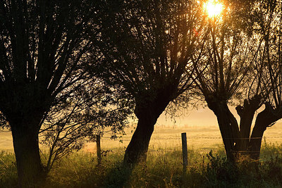 BUITEN BEELD Foto: 146102