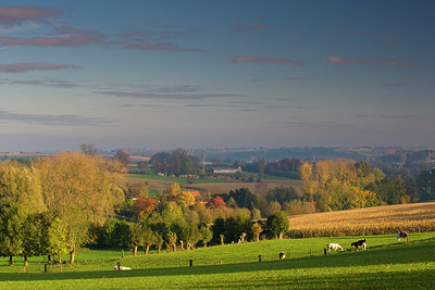 BUITEN BEELD Foto: 146116