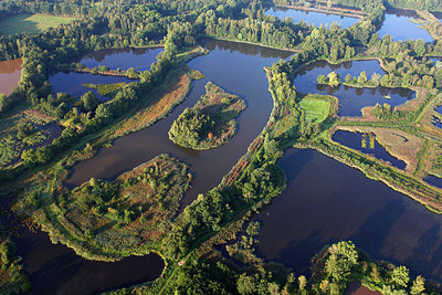 BUITEN BEELD Foto: 146118