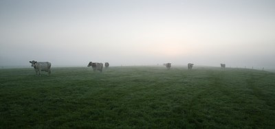 BUITEN BEELD Foto: 146209