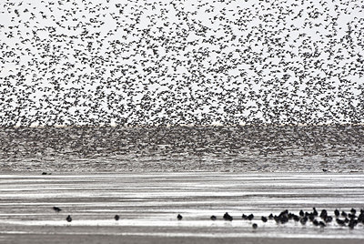 BUITEN BEELD Foto: 146210