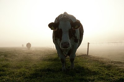 BUITEN BEELD Foto: 146212
