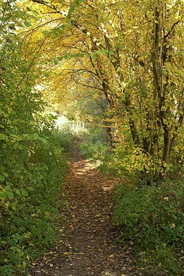 BUITEN BEELD Foto: 146231