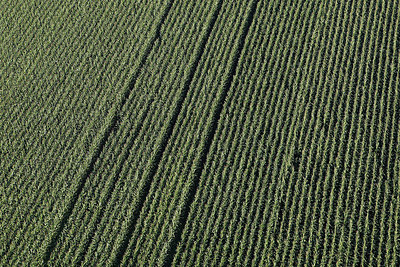 BUITEN BEELD Foto: 146318