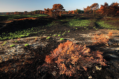 BUITEN BEELD Foto: 146324