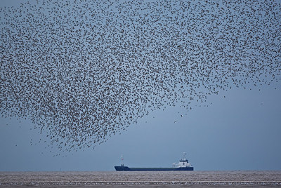 BUITEN BEELD Foto: 146328