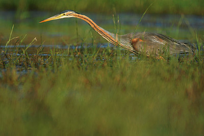 BUITEN BEELD Foto: 146329