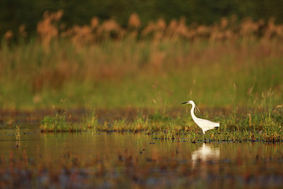 BUITEN BEELD Foto: 146333