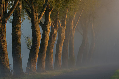 BUITEN BEELD Foto: 146373